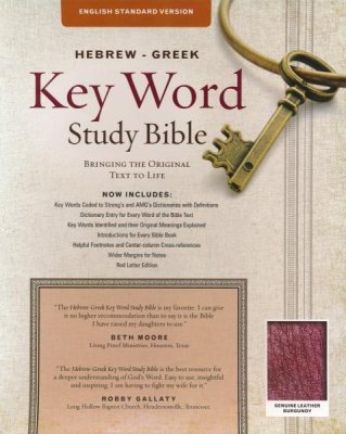 ESV Key Word Study Bible, Genuine Leather, Burgundy - AMG